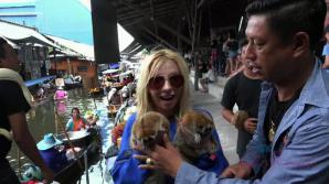 Kenzie checks out the market, and meets new friends.