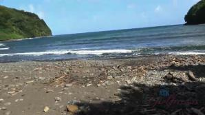 Another great day exploring with Riley!